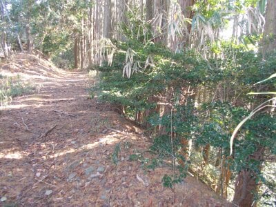 (値下げ) 奈良県生駒郡平群町 元山上口駅28分 土地 468万円の官公庁公売物件 #6