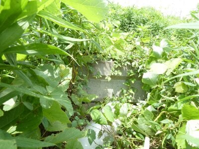 千葉県八街市 榎戸駅17分 土地 220万円の官公庁公売物件 #10