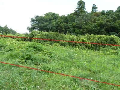 千葉県八街市 榎戸駅17分 土地 220万円の官公庁公売物件 #7