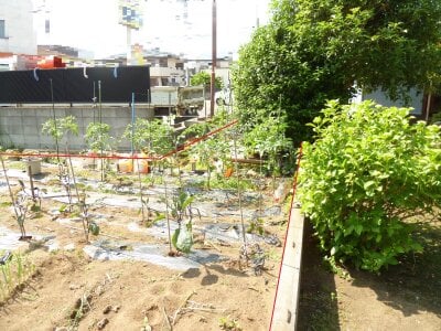 千葉県八街市 八街駅9分 土地 245万円の官公庁公売物件 #8