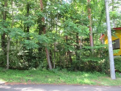 (値下げ) 山梨県南都留郡鳴沢村 河口湖駅 土地 24万円の官公庁公売物件 #1