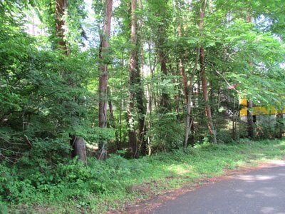 (値下げ) 山梨県南都留郡鳴沢村 河口湖駅 土地 24万円の官公庁公売物件 #2