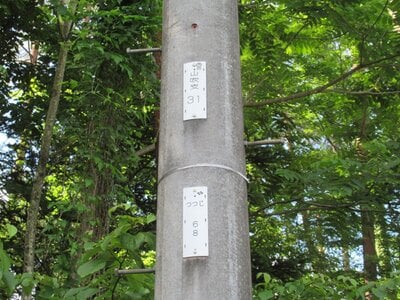 (値下げ) 山梨県南都留郡鳴沢村 河口湖駅 土地 24万円の官公庁公売物件 #5