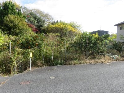 三重県桑名市 多度駅28分 農地 274万円の官公庁公売物件 #3