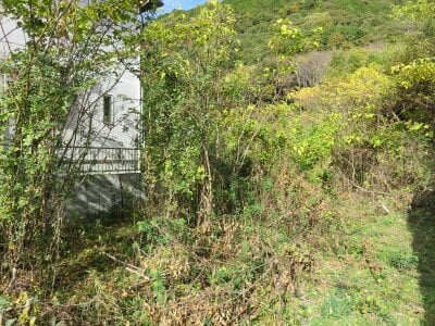 三重県桑名市 多度駅28分 農地 274万円の官公庁公売物件 #9