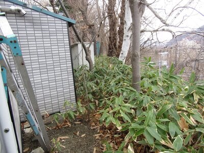 北海道札幌市南区 真駒内駅30分 戸建て 257万円の官公庁公売物件 #6