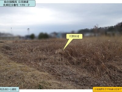 岩手県一関市 一ノ関駅11分 農地 66万円の国税庁公売物件 #2