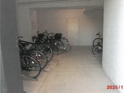 大阪府東大阪市 若江岩田駅3分 戸建て 1億3,311万円の競売物件 #3