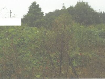 茨城県水戸市 赤塚駅11分 土地 317万円の競売物件 #1
