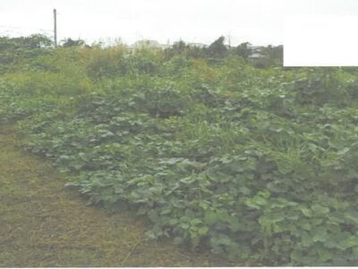 茨城県水戸市 赤塚駅11分 土地 317万円の競売物件 #2