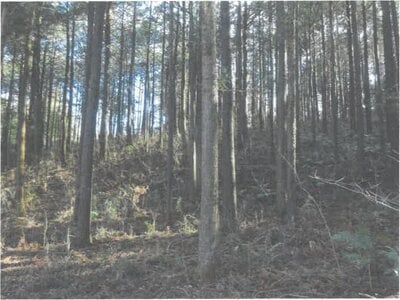 (値下げ) 茨城県桜川市 岩瀬駅22分 土地 97万円の競売物件 #2