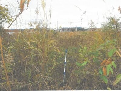 茨城県北茨城市 大津港駅18分 土地 361万円の競売物件 #2