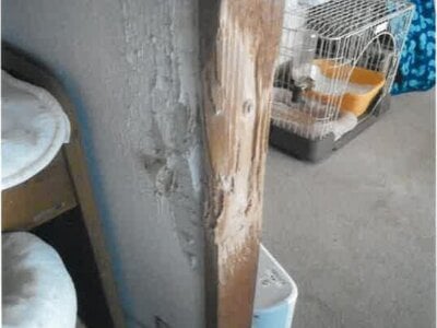 神奈川県横須賀市 衣笠駅13分 マンション「ダイアパレス横須賀衣笠」722万円の競売物件 #6