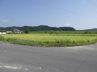 (値下げ) 高知県四万十市 具同駅30分 農地 43万円の国税庁公売物件 #1