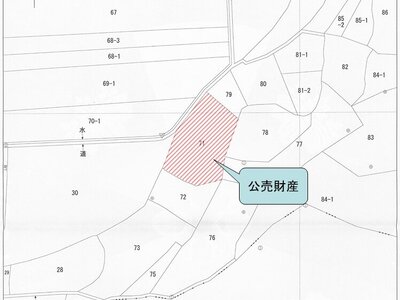 (値下げ) 奈良県北葛城郡王寺町 畠田駅5分 農地 48万円の国税庁公売物件 #2