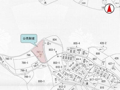 (値下げ) 奈良県生駒市 萩の台駅9分 農地 66万円の国税庁公売物件 #2