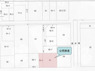 (値下げ) 兵庫県豊岡市 豊岡駅13分 農地 93万円の国税庁公売物件 #2