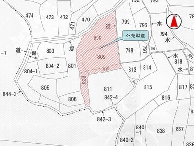 (値下げ) 大阪府茨木市 豊川駅30分 農地 346万円の国税庁公売物件 #2