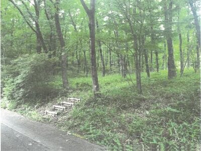 (値下げ) 栃木県那須郡那須町 土地 108万円の競売物件 #2