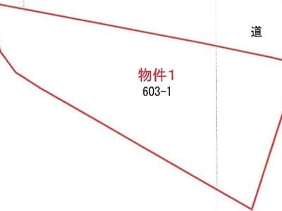 栃木県大田原市 那須塩原駅 土地 162万円の競売物件 #9