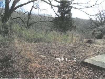 栃木県那須塩原市 高久駅 戸建て 393万円の競売物件 #2