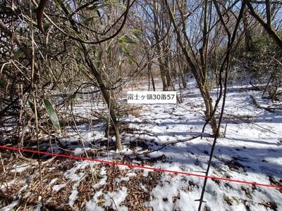 山梨県南都留郡富士河口湖町 土地 78万円の官公庁公売物件 #11