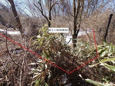 山梨県南都留郡富士河口湖町 土地 78万円の官公庁公売物件 #6