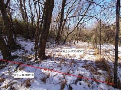 山梨県南都留郡富士河口湖町 土地 78万円の官公庁公売物件 #7