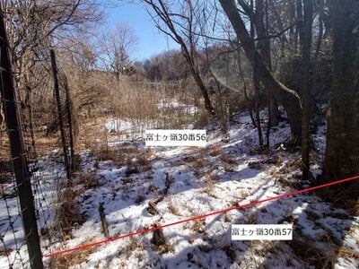 山梨県南都留郡富士河口湖町 土地 78万円の官公庁公売物件 #9