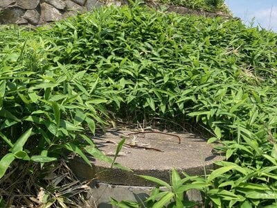北海道釧路市 武佐駅 土地 416万円の官公庁公売物件 #6