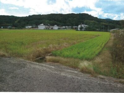 和歌山県日高郡日高町 紀伊内原駅15分 農地 143万円の競売物件 #1