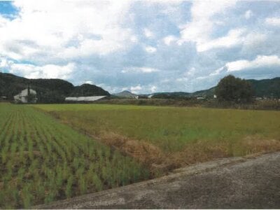 和歌山県日高郡日高町 紀伊内原駅15分 農地 143万円の競売物件 #2