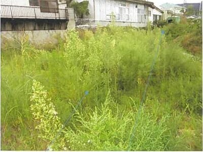 (値下げ) 福島県伊達郡国見町 藤田駅11分 土地 77万円の競売物件 #5