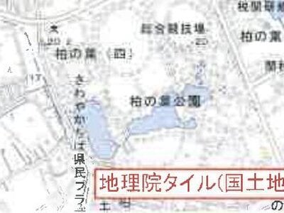 千葉県野田市 柏たなか駅 農地 24万円の競売物件 #5