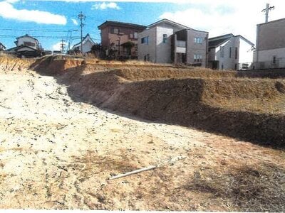 愛知県名古屋市緑区 野並駅16分 農地 6,408万円の競売物件 #4