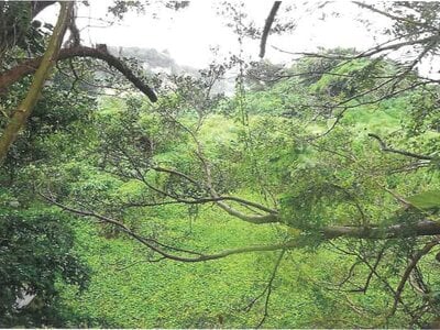 沖縄県うるま市 土地 169万円の競売物件 #1