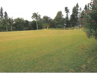 沖縄県中頭郡読谷村 戸建て 833万円の競売物件 #2