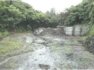 沖縄県国頭郡金武町 農地 133万円の競売物件 #3