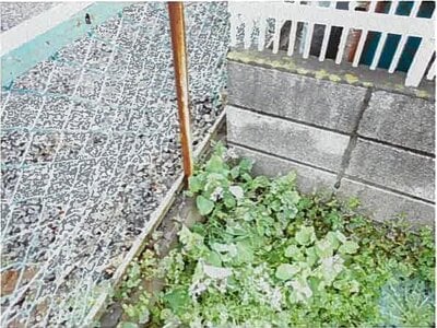 埼玉県坂戸市 北坂戸駅19分 戸建て 378万円の競売物件 #10