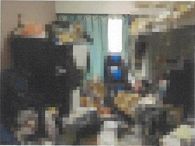 東京都葛飾区 青砥駅4分 マンション「ルクシェール青砥」1,145万円の競売物件 #3