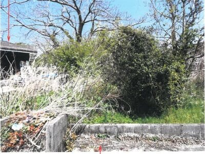 宮崎県西都市 戸建て 284万円の競売物件 #14