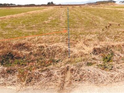 宮崎県児湯郡新富町 日向新富駅14分 農地 38万円の競売物件 #2