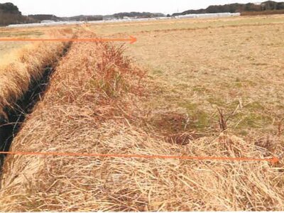 宮崎県児湯郡新富町 日向新富駅14分 農地 38万円の競売物件 #4