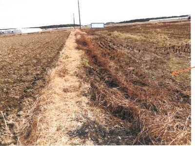 宮崎県児湯郡新富町 日向新富駅10分 農地 50万円の競売物件 #4