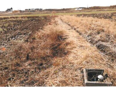 宮崎県児湯郡新富町 日向新富駅10分 農地 50万円の競売物件 #5