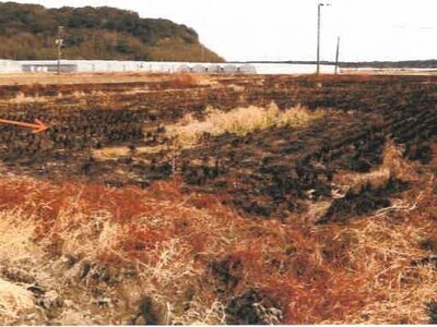 宮崎県児湯郡新富町 日向新富駅10分 農地 50万円の競売物件 #6