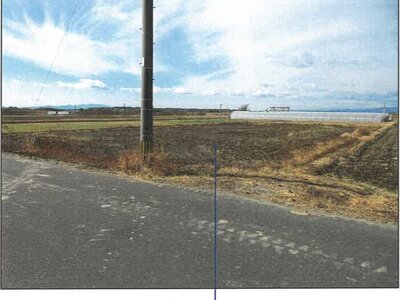 宮崎県児湯郡新富町 日向新富駅10分 農地 50万円の競売物件 #7