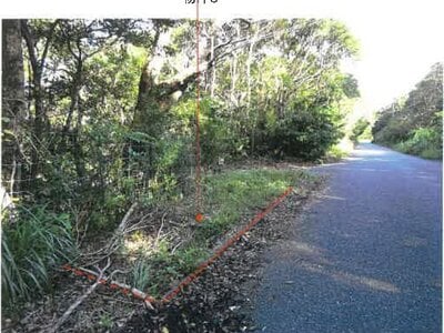 鹿児島県奄美市 農地 107万円の競売物件 #1