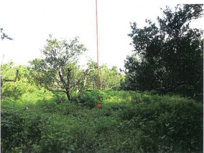 鹿児島県奄美市 農地 107万円の競売物件 #11