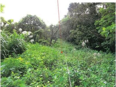 鹿児島県奄美市 農地 107万円の競売物件 #12